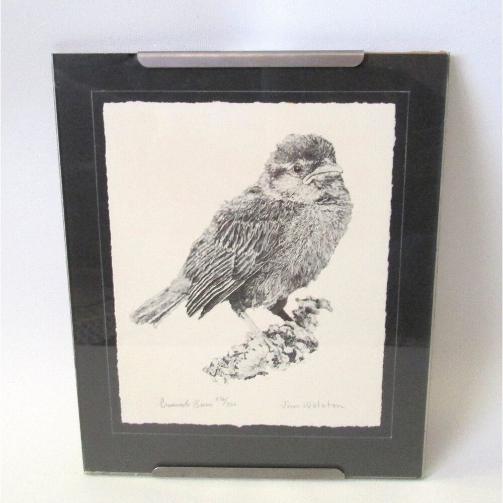 Jim Walston Crumb Bum Bird Print Signed Numbered 376/500 Strung Frame